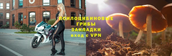 СК Корсаков