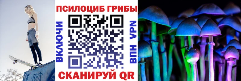 Галлюциногенные грибы Psilocybe Кологрив